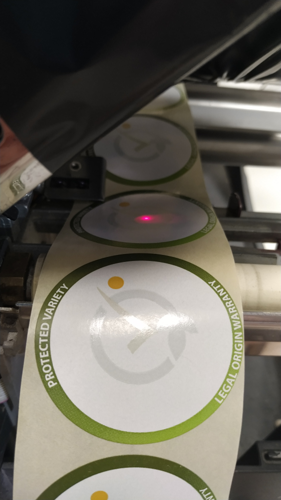 Fotografia de etiquetas Gesvatec siendo impresas en una impresora termica. Se ven etiquetas circulares con el texto 'PROTECTED VARIETY' y 'LEGAL ORIGIN WARRANTY' con el logo de Gesvatec en el centro,